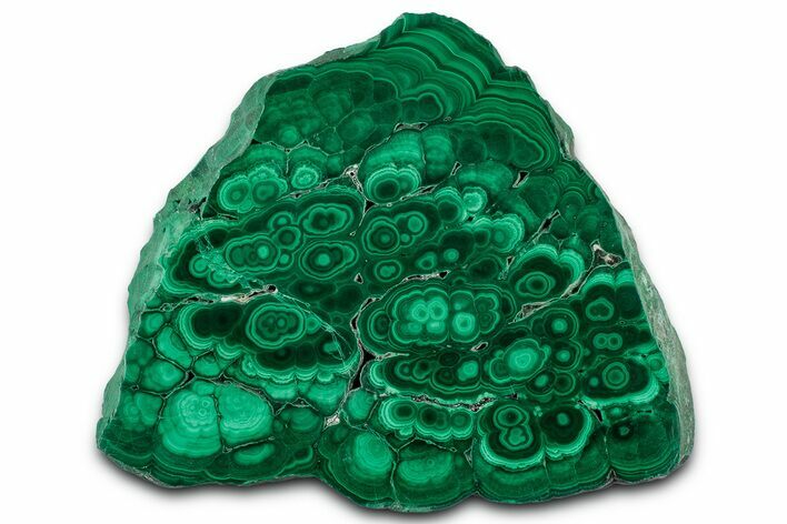 Flowery Polished Malachite Slab - DR Congo #350833
